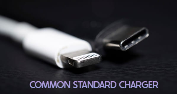 Common Standard Charger